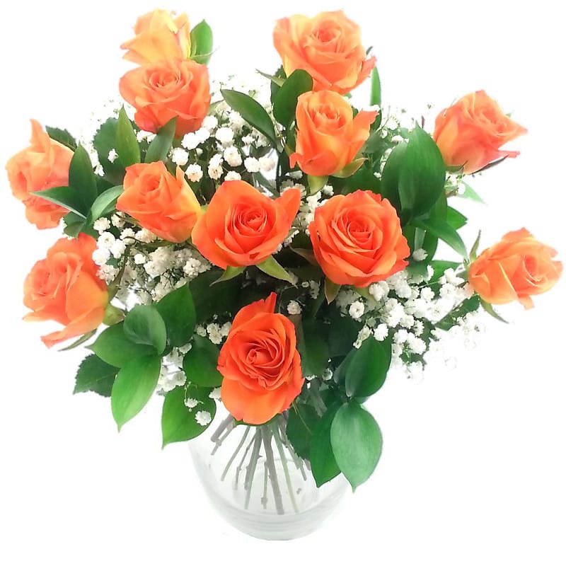 Dozen Orange Roses