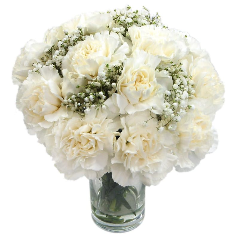 white carnations