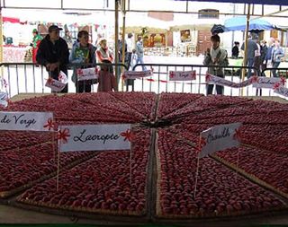 The-worlds-biggest-strawber