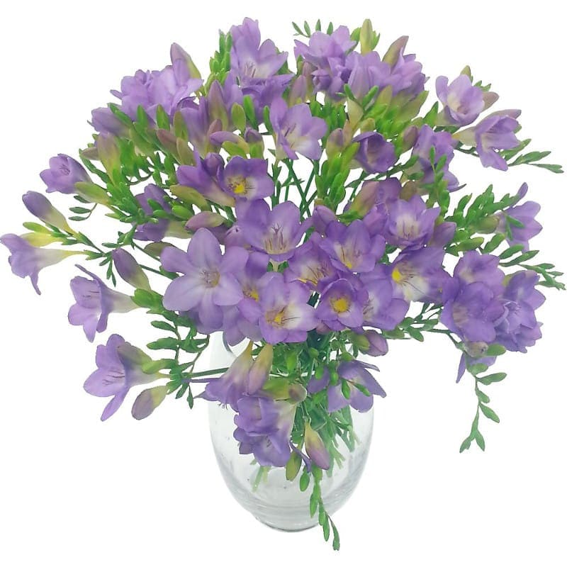 Lilac Charm Freesia Bouquet