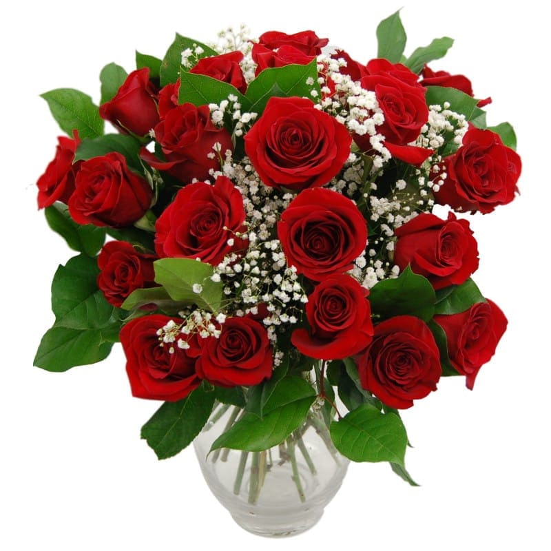 Promise 24 Red Roses