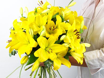 Yellow Lilies